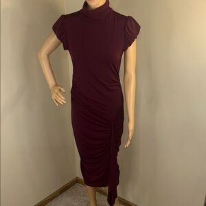 Le Chateau Plum Midi Dress with Ruffled Sleeves